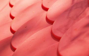 Conordan plastic roof costs