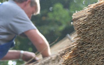 professional Conordan thatchers